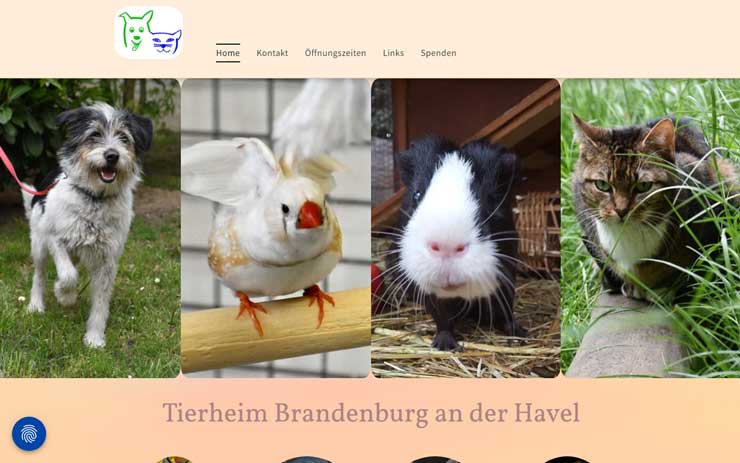 Tierheim Brandenburg an der Havel 